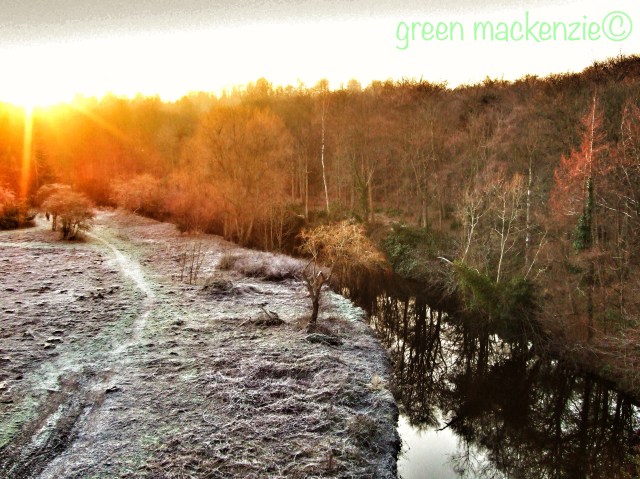 Frosty winter afternoon. Dalkeith Country Park