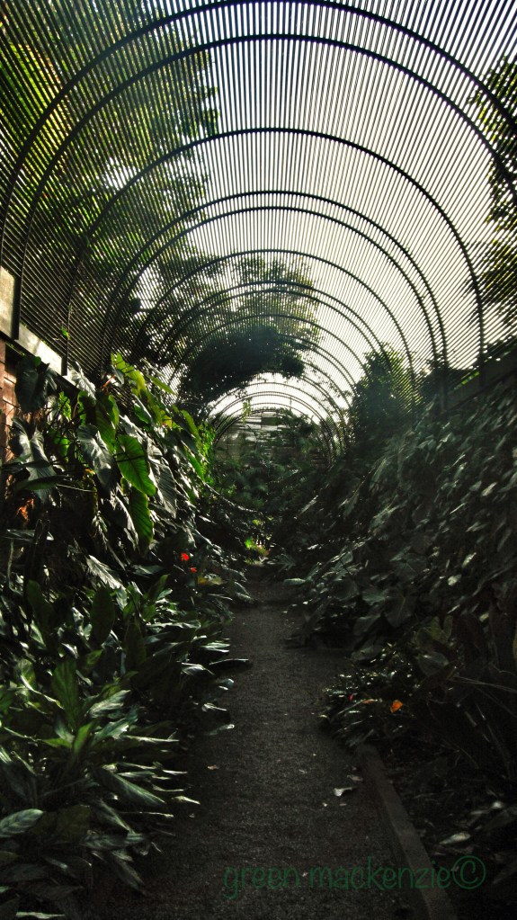 Circular plant tunnel: Tenerife Botanical Gardens