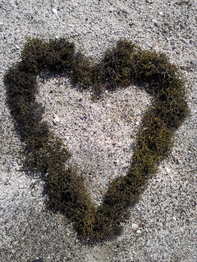 Easter 2010 Seaweed Heart