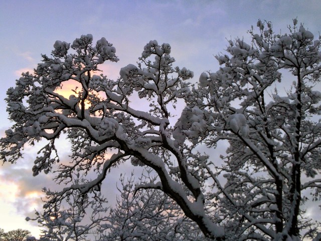 Iron Mills Park 2013