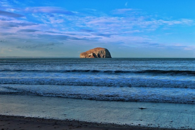 Bass Rock- Feb 2013 20130218-094232.jpg