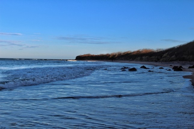 Seacliff - Feb 2013 20130218-094341.jpg