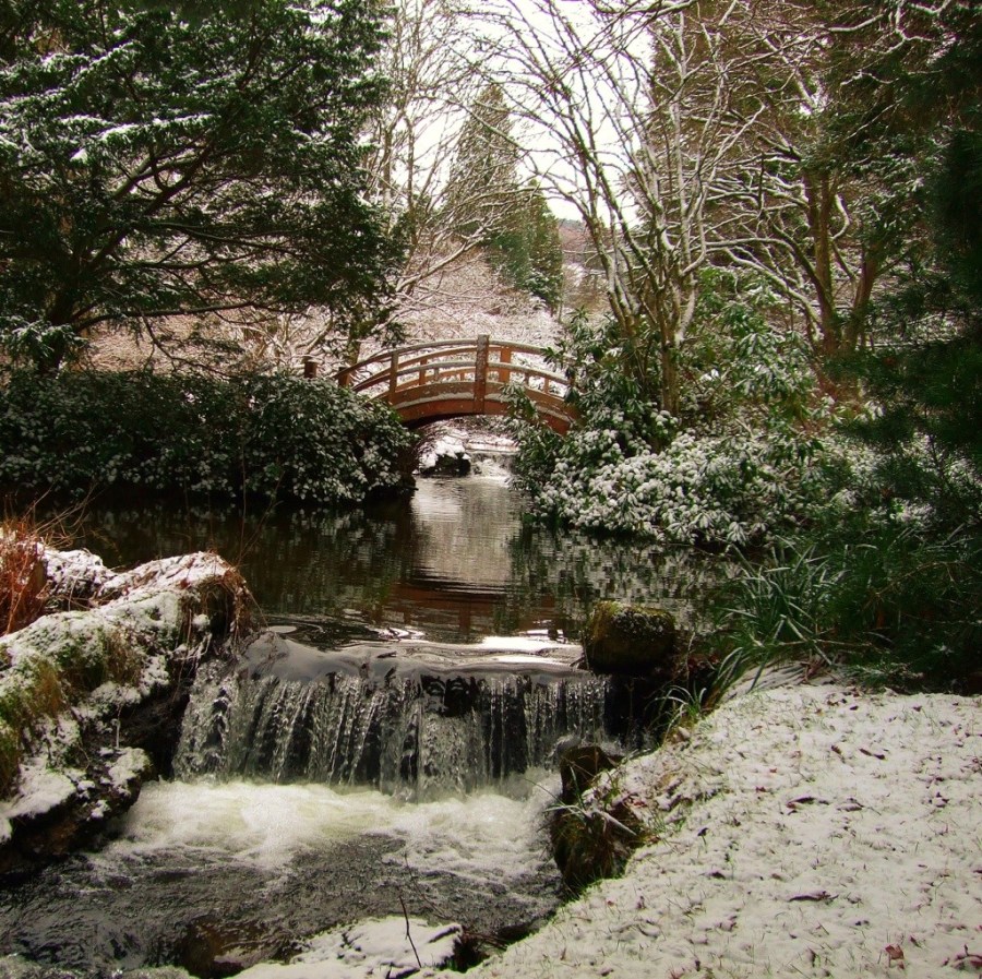 Japanese Bridge in Snow