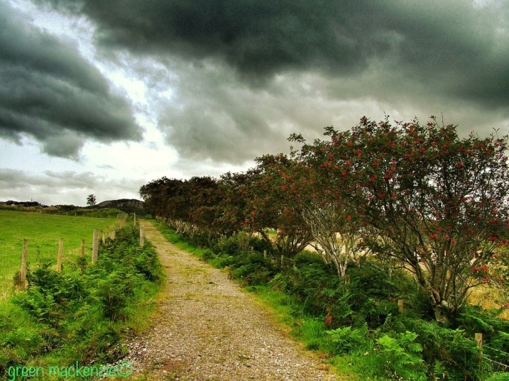 Road to the Coral Beach - Plockton