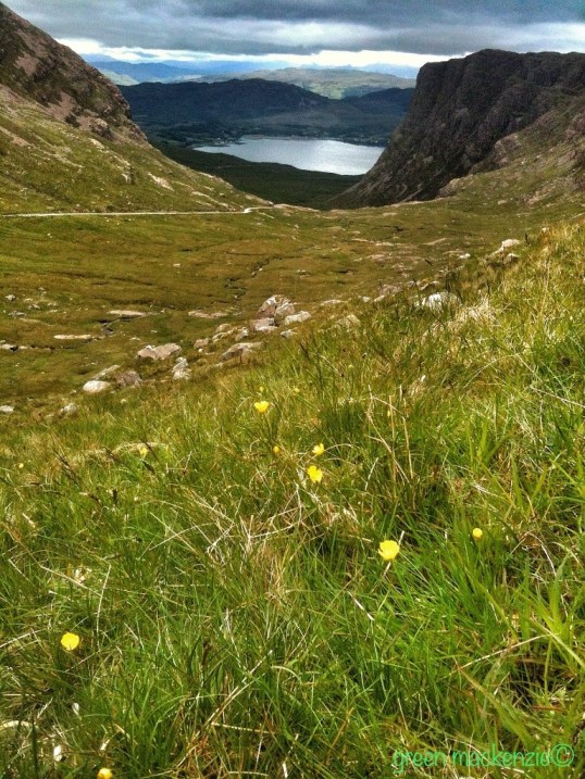 Road to Applecross - Rosshire