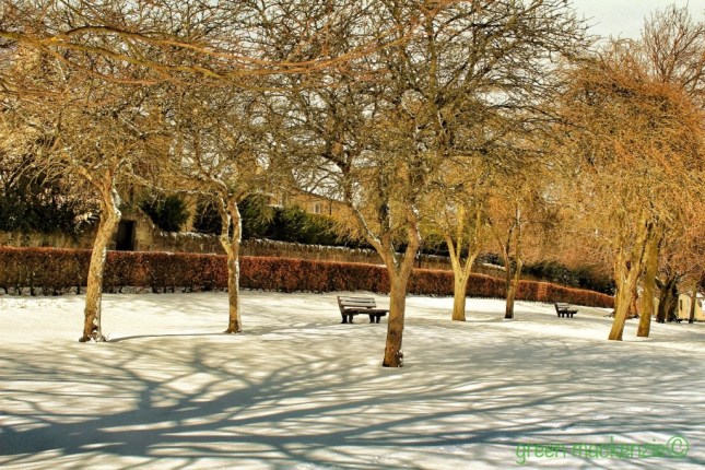 Winter park - Dalkeith 2013 Winter park