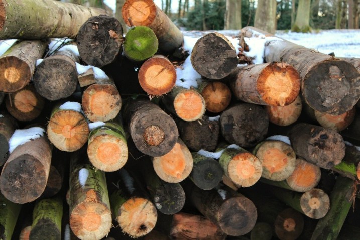 Wood pile 2 Wood pile close up