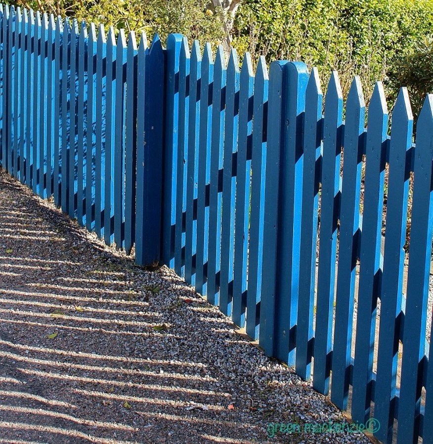 Blue Fence, Harbour Street