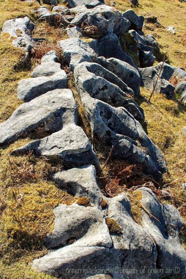 Stone Backbone Stone Backbone