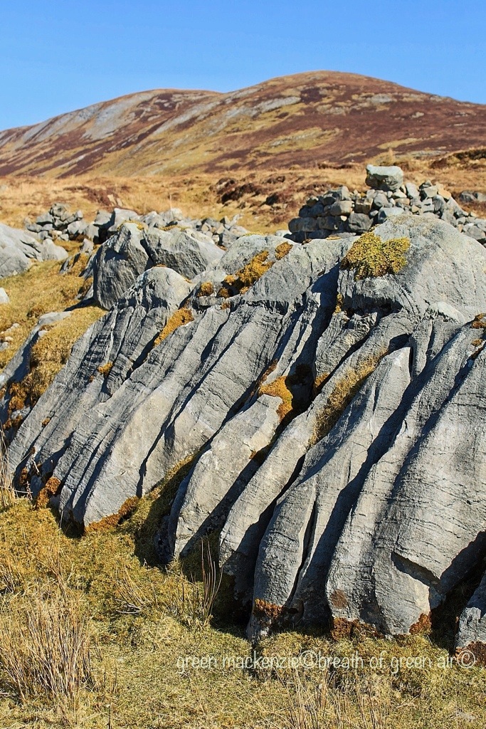 Stone Sentinals Stone Claws