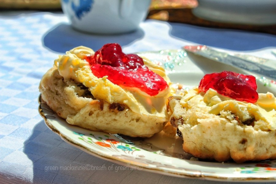 Fruit Scones with jam and clotted cream