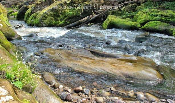 Roslin Glen rapids - Scotland