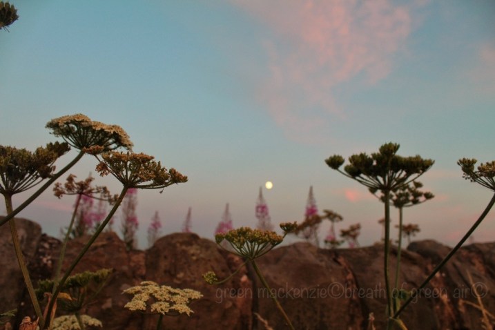 Full Moon at twilight