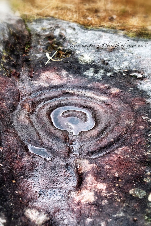 Cup and ring rock art Northumberland.JPG