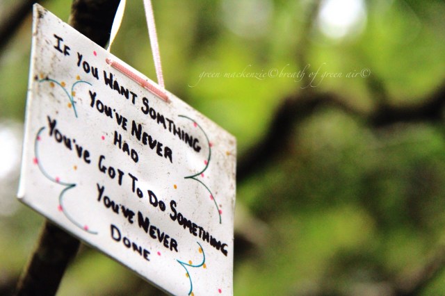 Try something new sign in tree.JPG