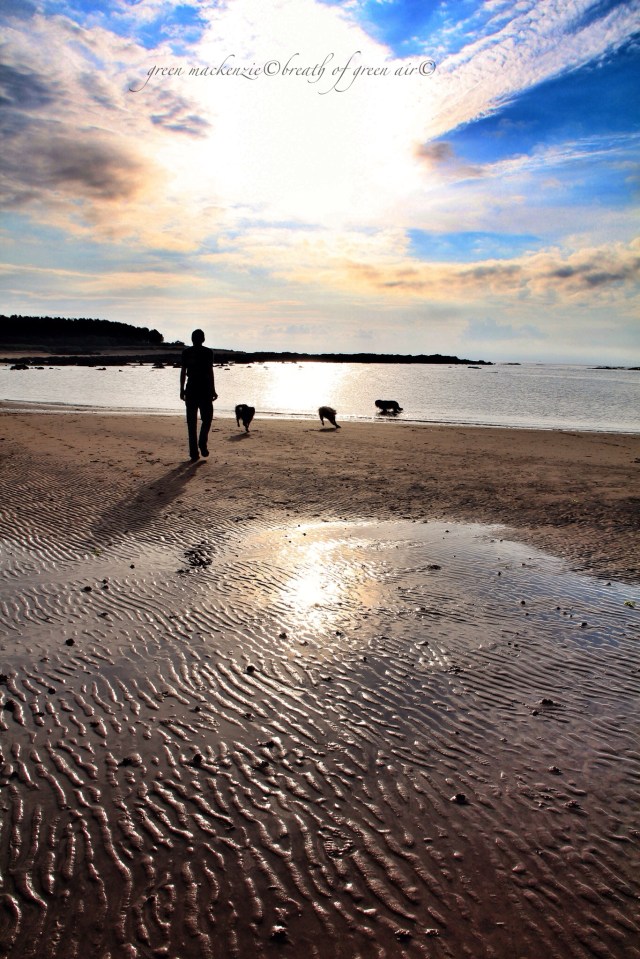 Beach walk evening silhouette.JPG